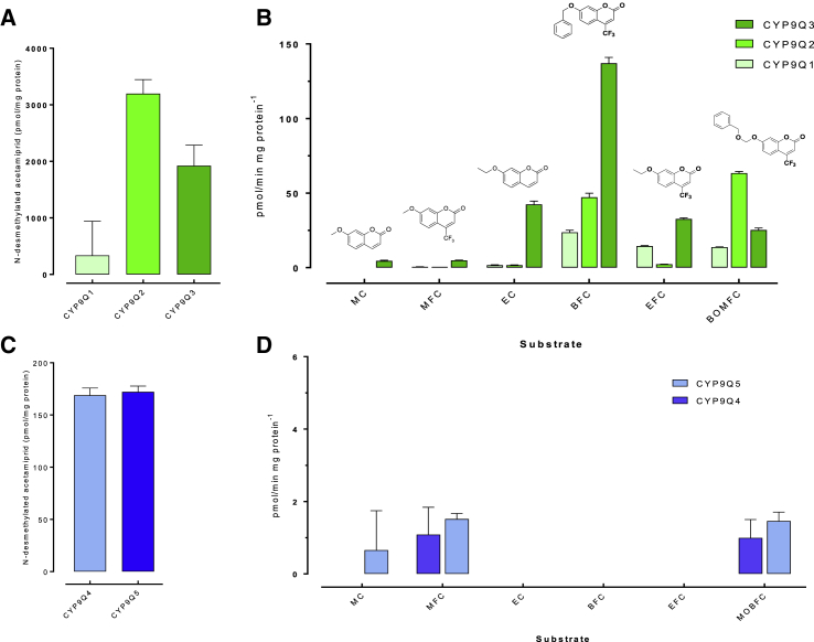 Figure 3