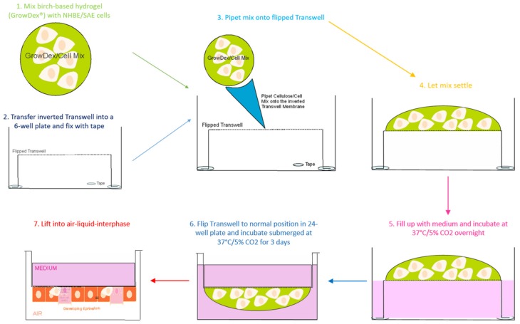 Figure 6