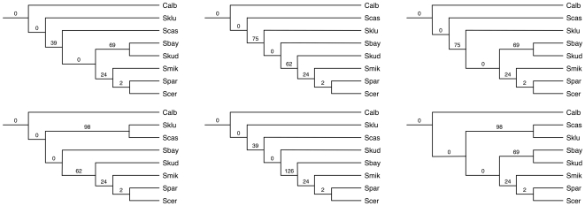 Figure 10