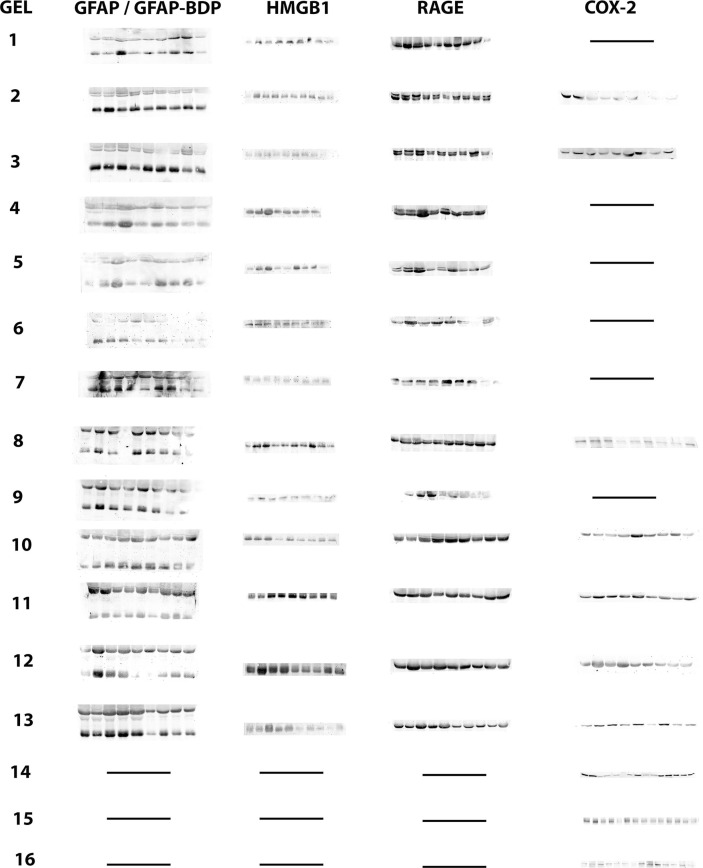 Supplementary figure 1