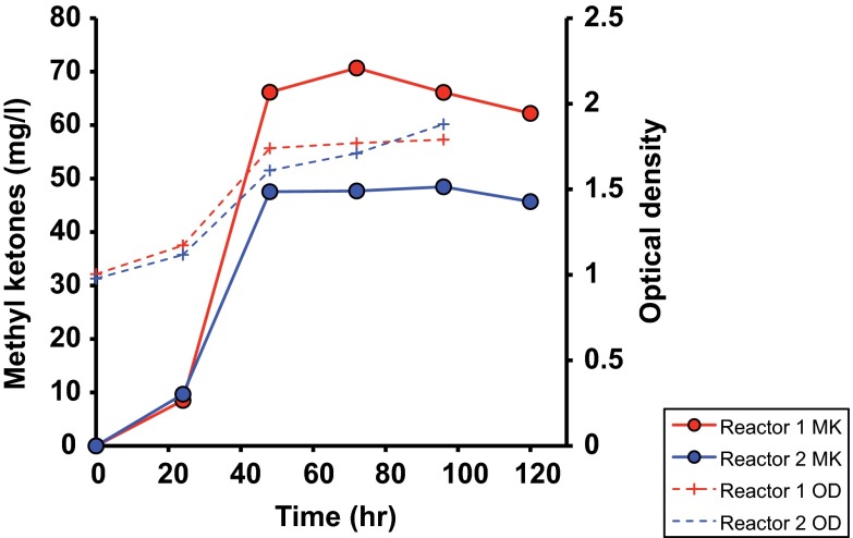 FIG 4