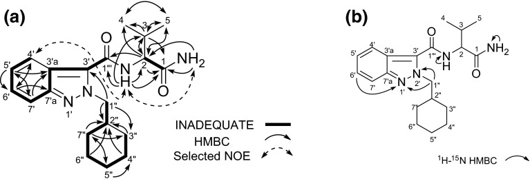 Fig. 6