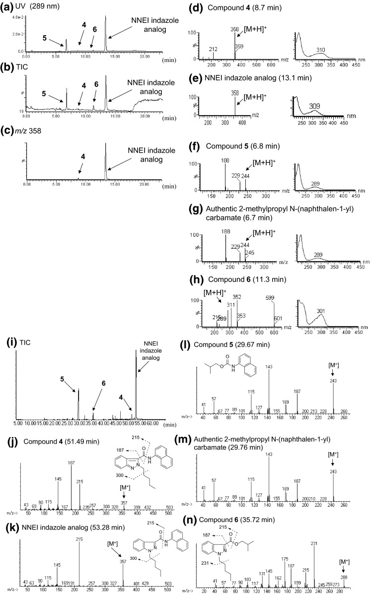 Fig. 7