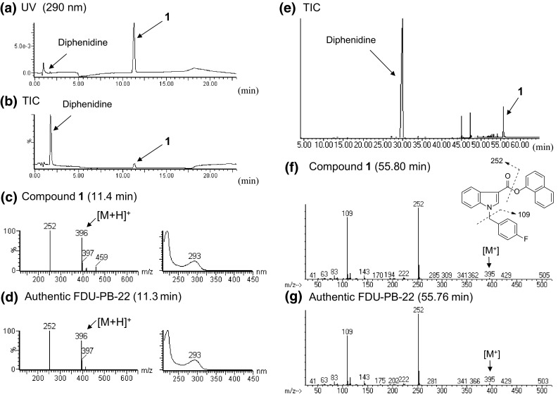 Fig. 2