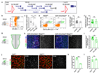 Extended data figure 5