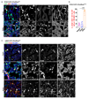 Extended data figure 9