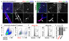 Extended data figure 6