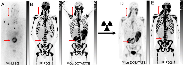 Fig. 7