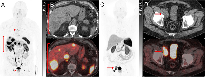 Fig. 9