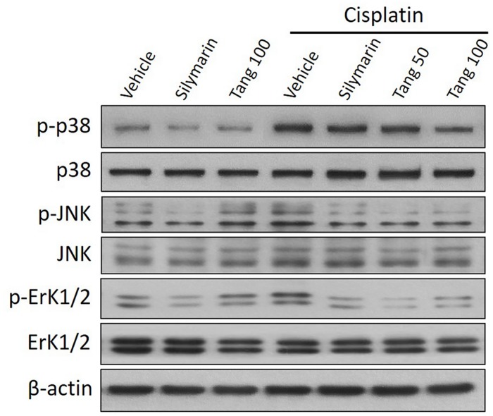 Fig 7