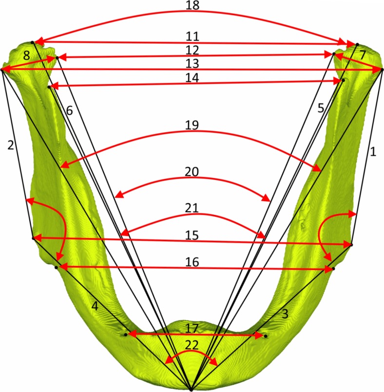 Fig. 2