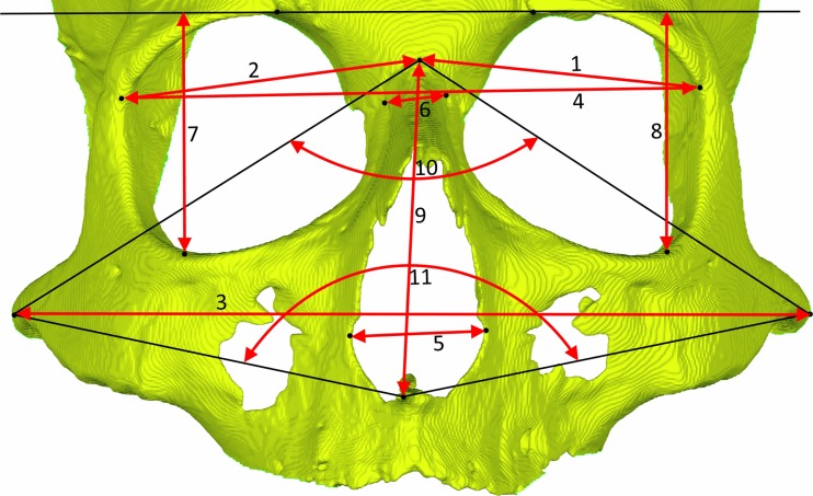 Fig. 1