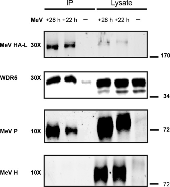 FIG 6