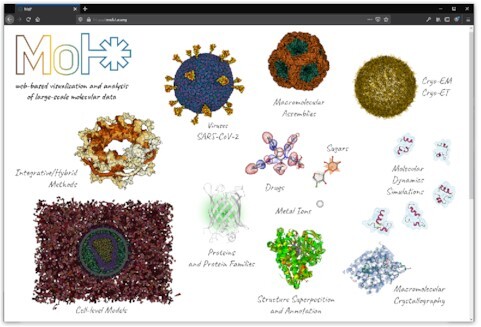 Graphical Abstract