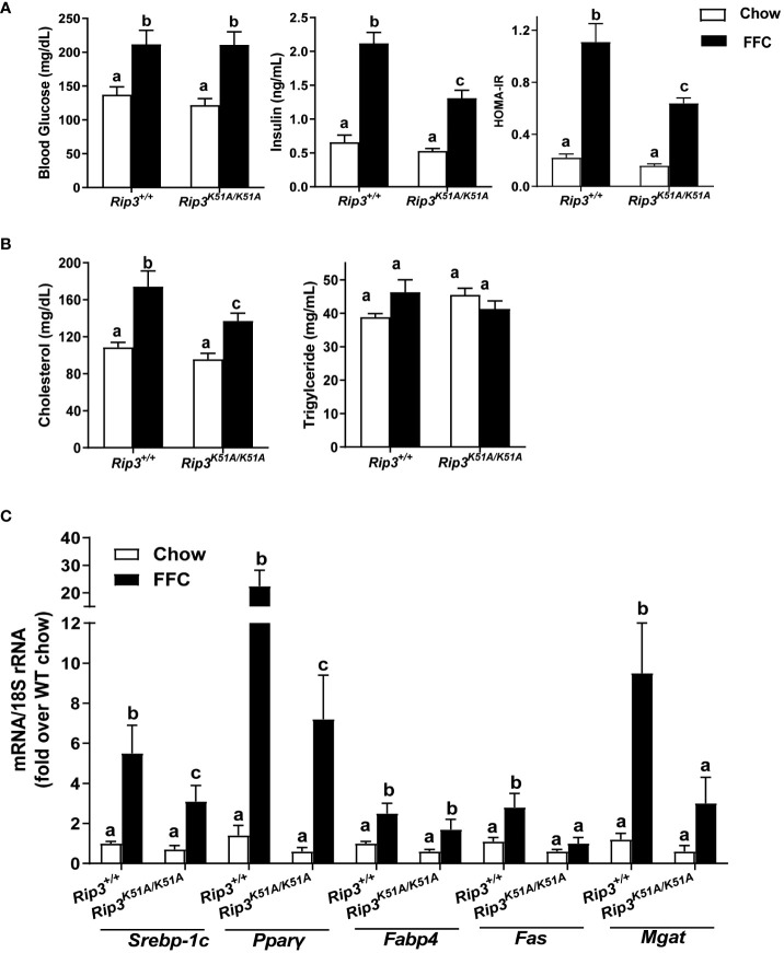 Figure 4