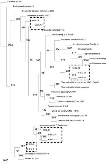 Fig. (3)