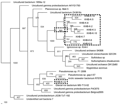 Fig. (2)