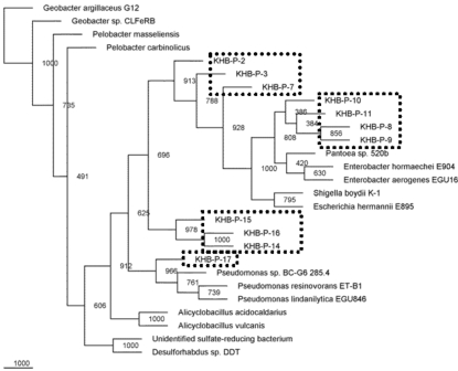 Fig. (5)