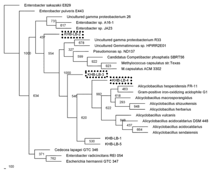 Fig. (6)