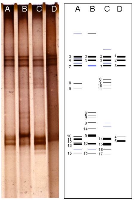 Fig. (1)