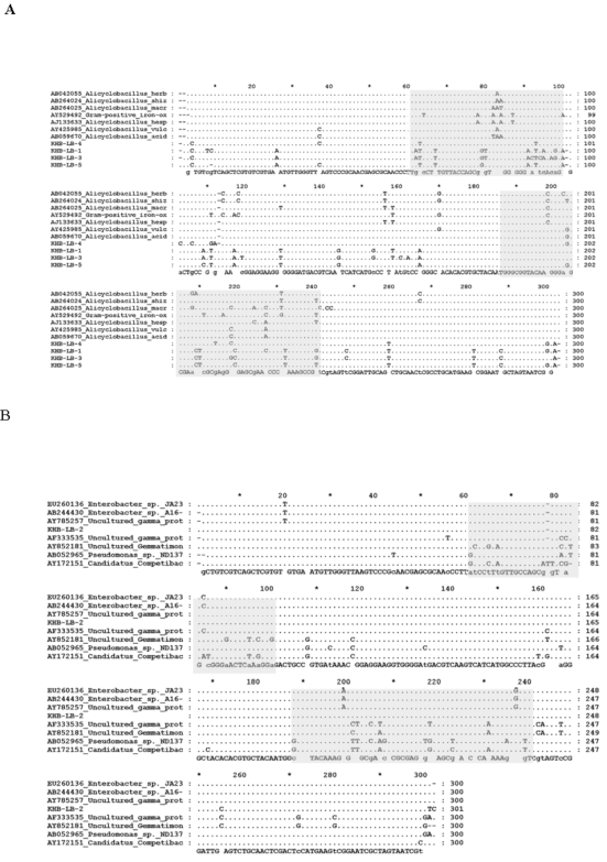 Fig. (7)