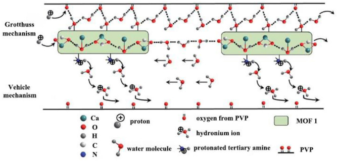 Figure 11