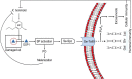 Fig 13