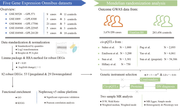 Figure 1