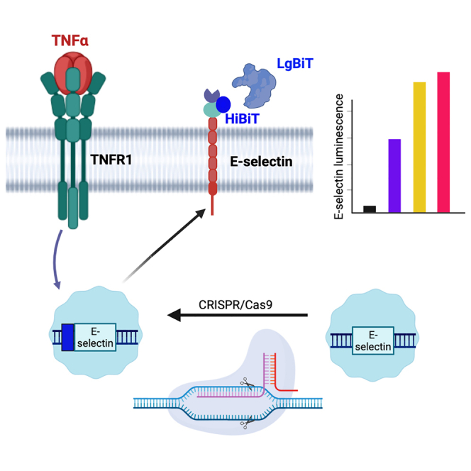 graphic file with name fx1.jpg