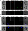 FIG 3