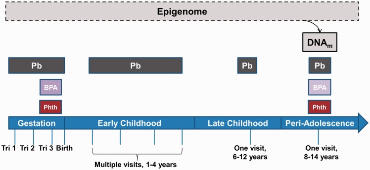 Figure 1: