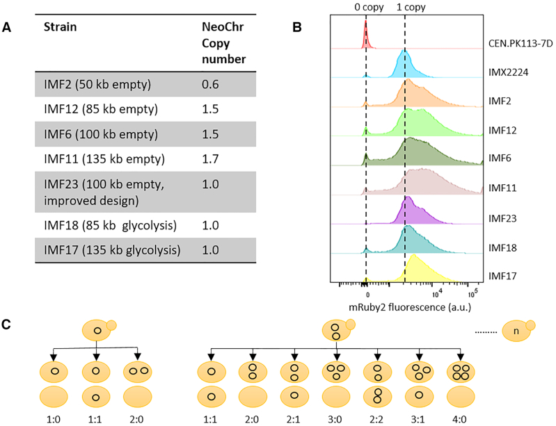 Figure 6.