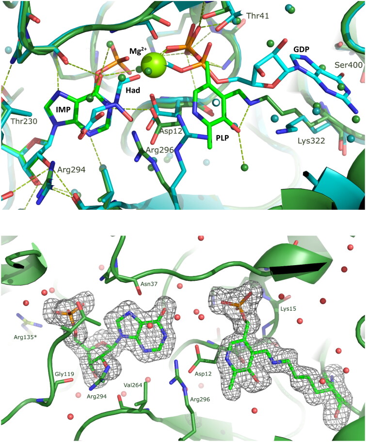 Figure 6.