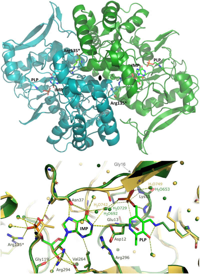 Figure 5.