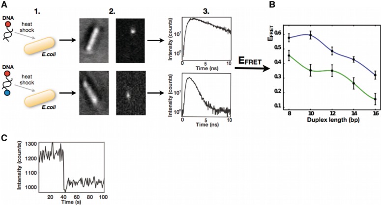 Figure 2.