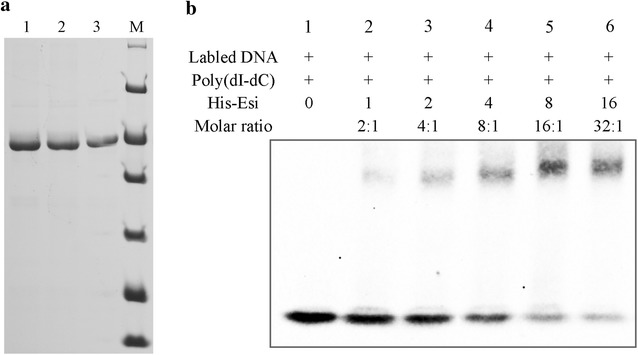 Fig. 5