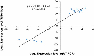 Fig. 2