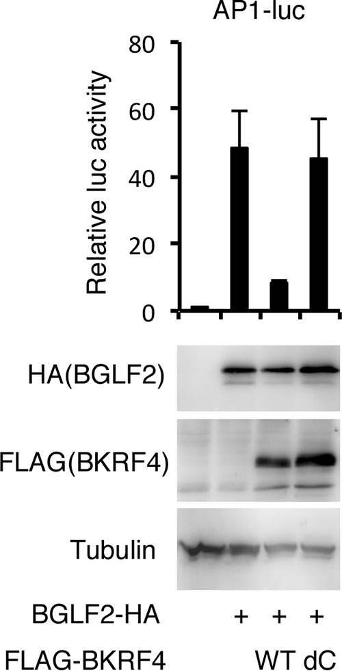 FIG 5 