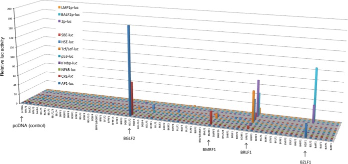 FIG 1 