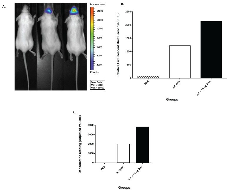 Fig. (2)