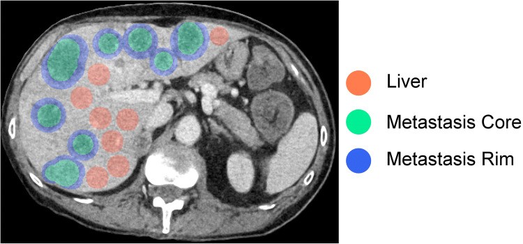 Fig. 2