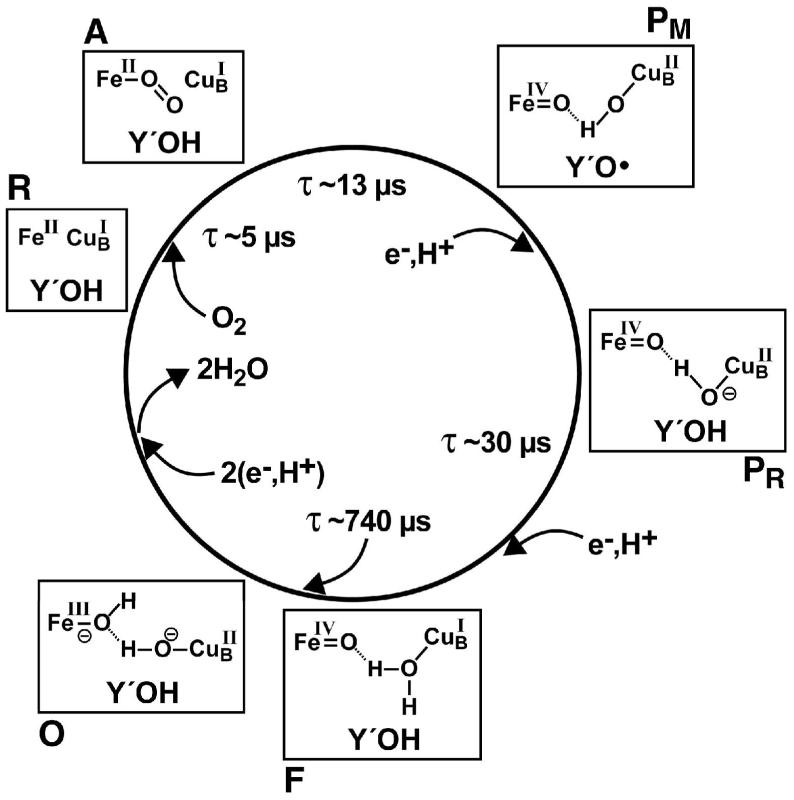 Fig. 2