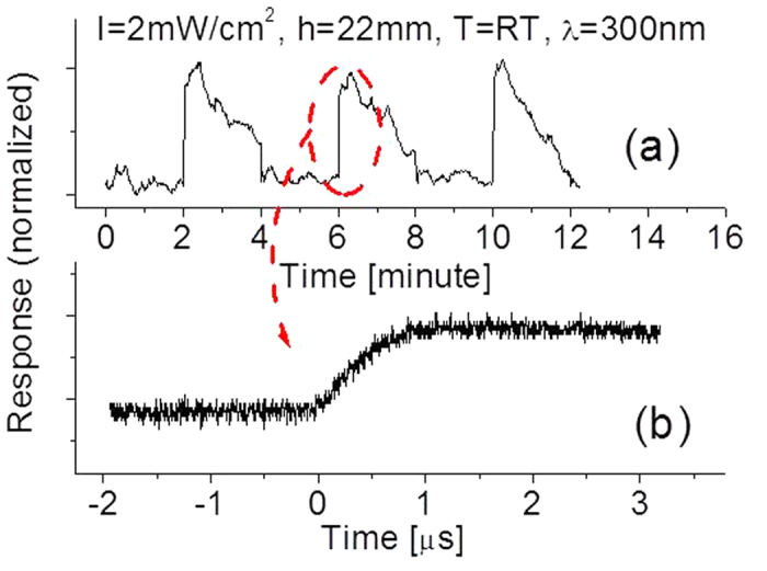 Figure 11