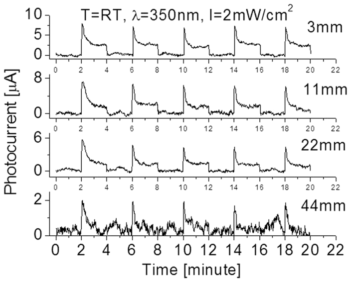 Figure 10