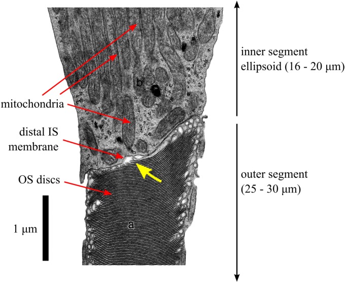 Figure 10