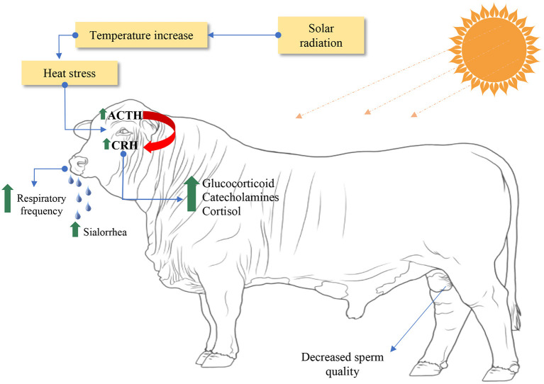 Figure 12