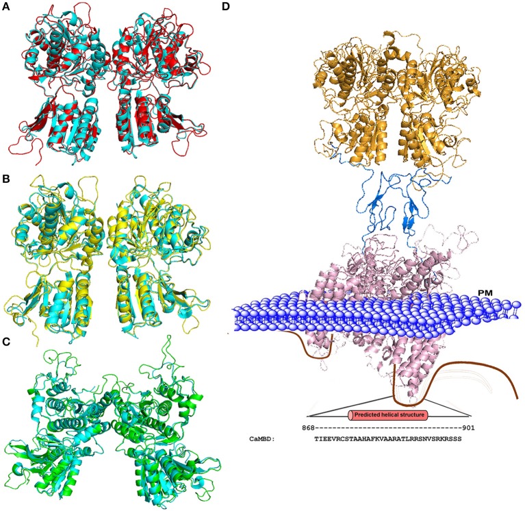 Figure 2