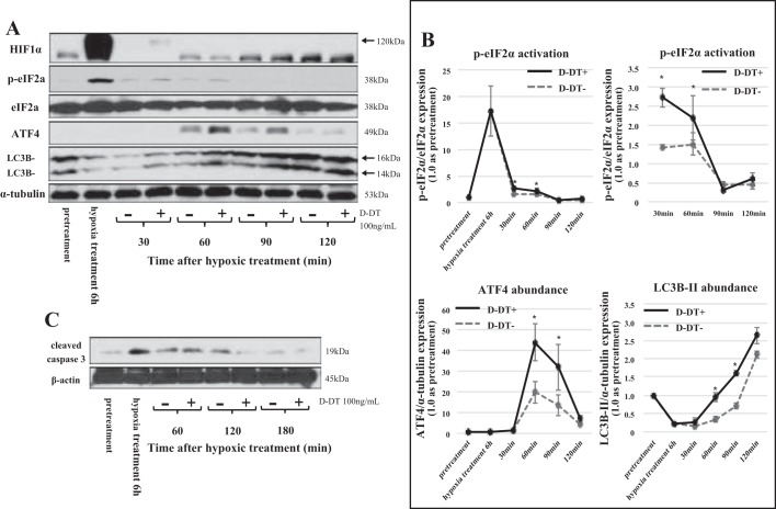 Fig. 11.