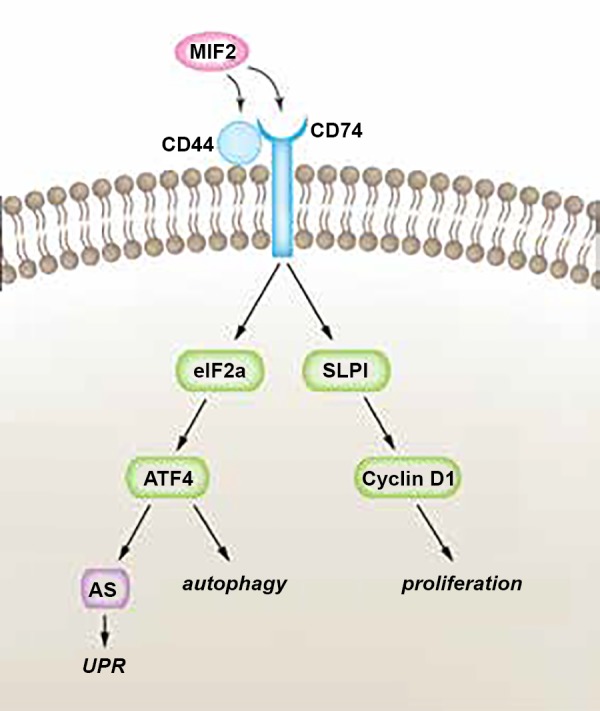 Fig. 12.