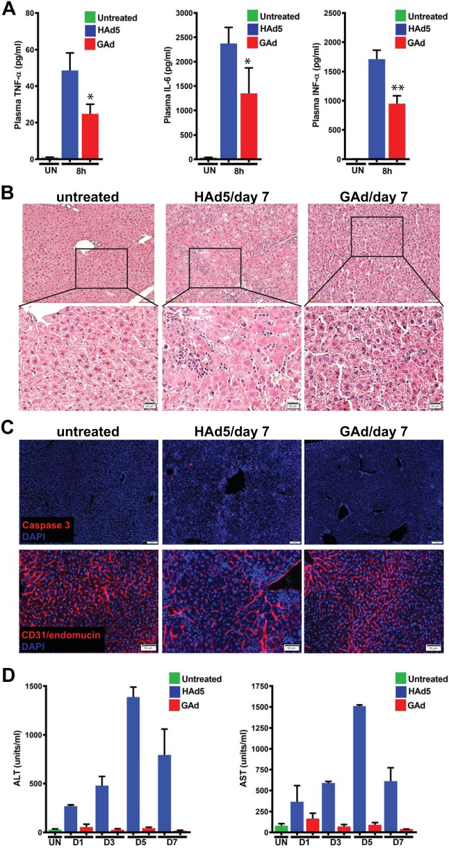 FIG 6
